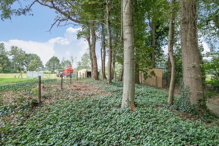 Foto 52 van Asserstraat 38