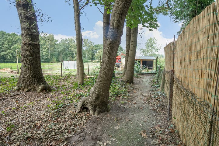 Foto 53 van Asserstraat 38