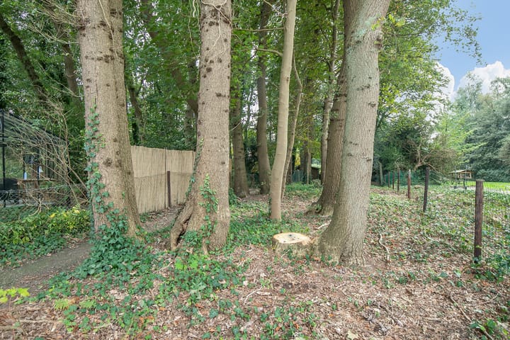 Foto 55 van Asserstraat 38