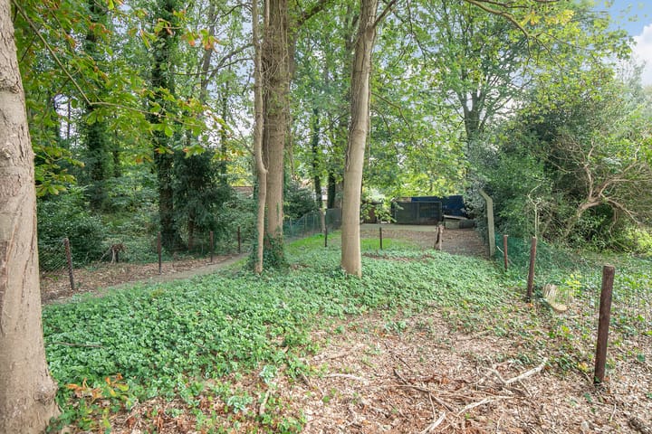 Foto 56 van Asserstraat 38