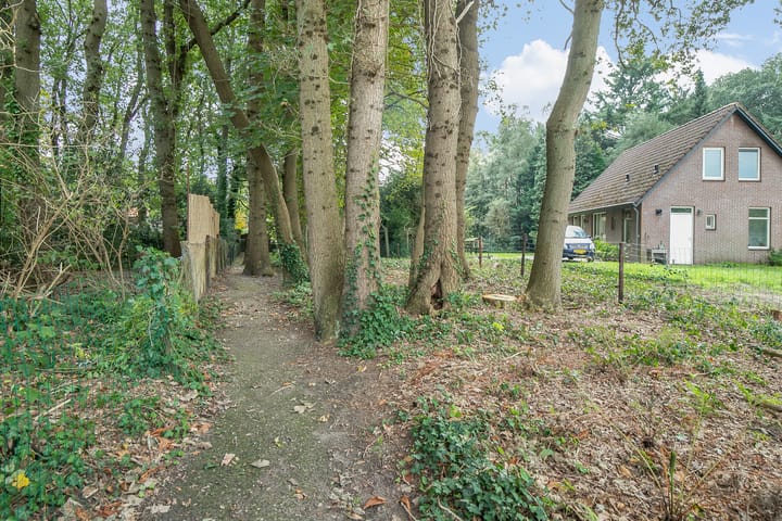 Foto 54 van Asserstraat 38