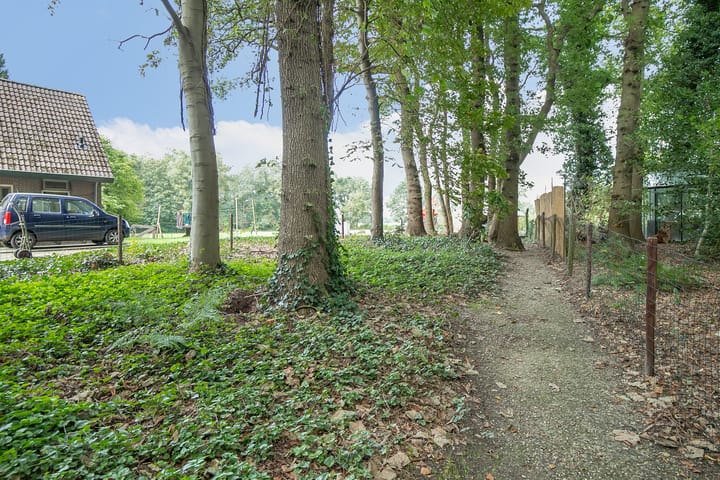 Foto 51 van Asserstraat 38