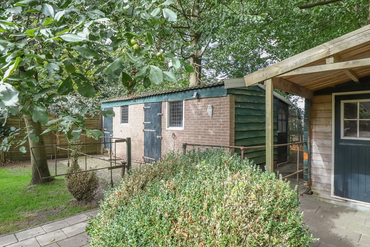 Foto 47 van Asserstraat 38