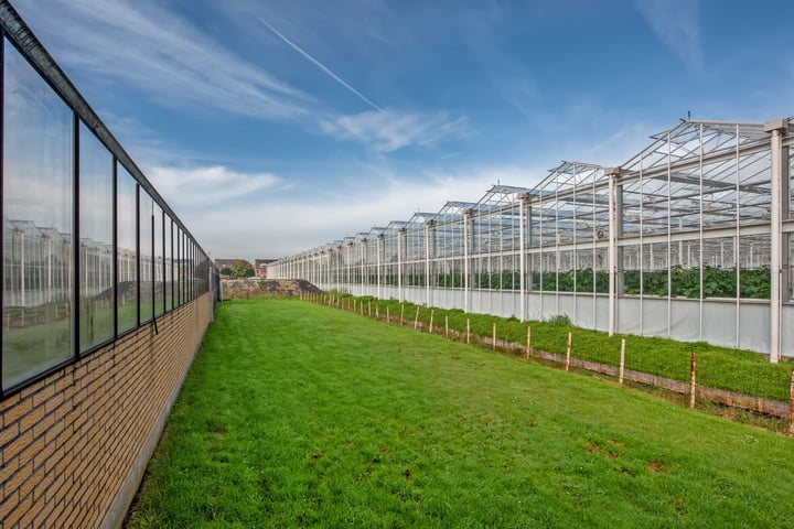 Bekijk foto 32 van Delftsestraatweg 68