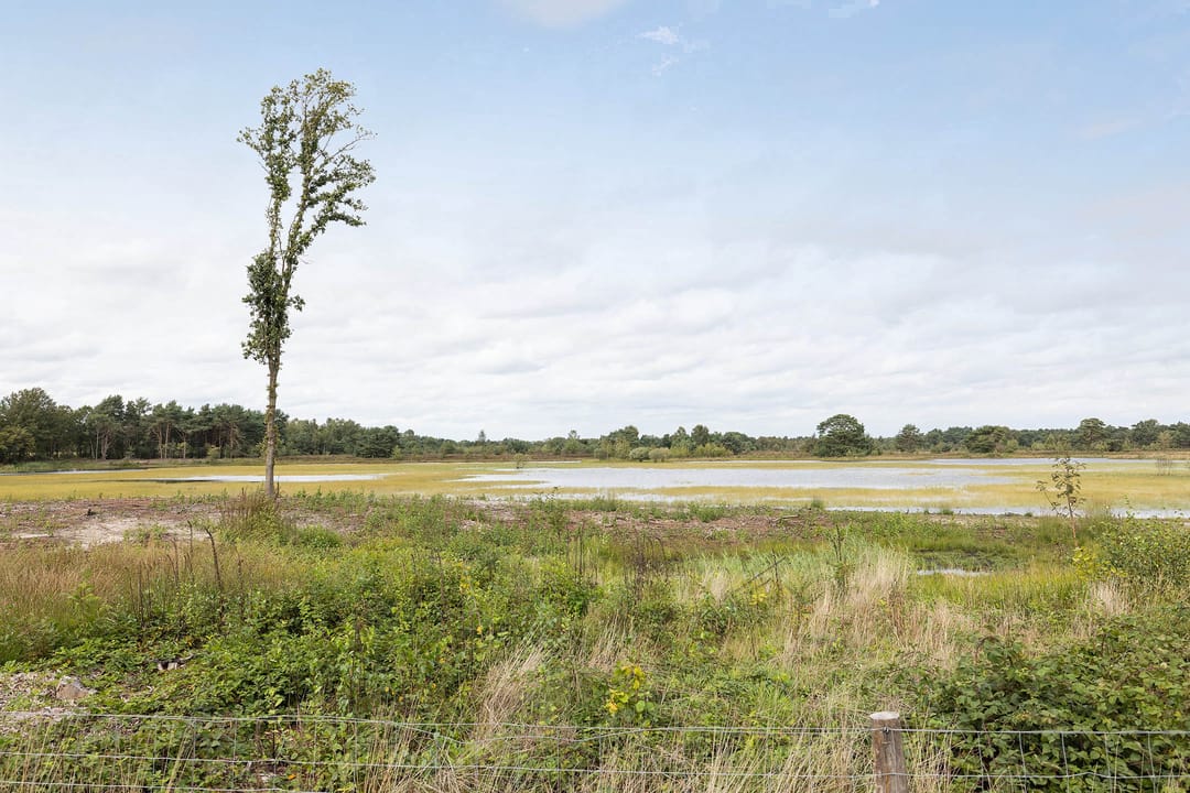 Photo 22 of Bergvennenweg 35-E27