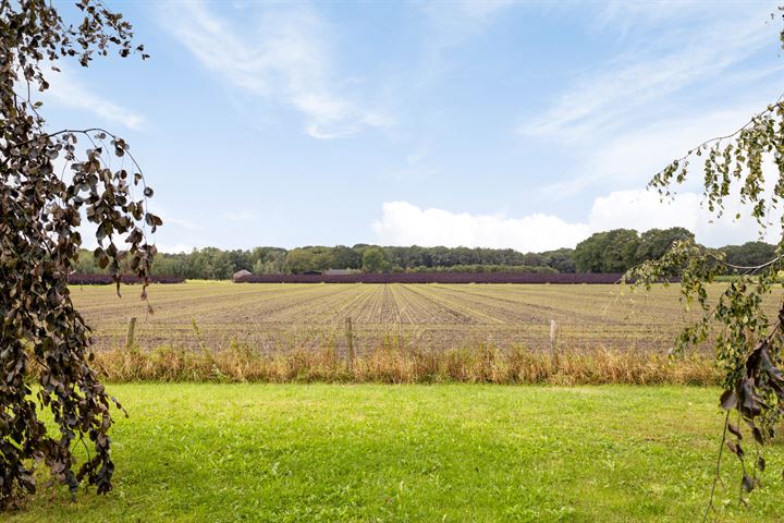 Bekijk foto 45 van Roosendaalsebaan 5