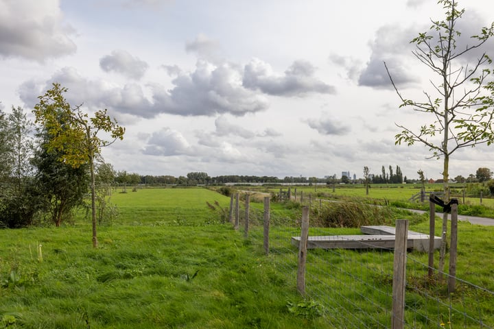 Bekijk foto 11 van Rodenrijseweg 551