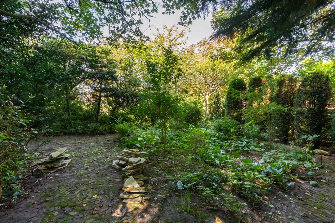 Photo 8 of Duinweg 65