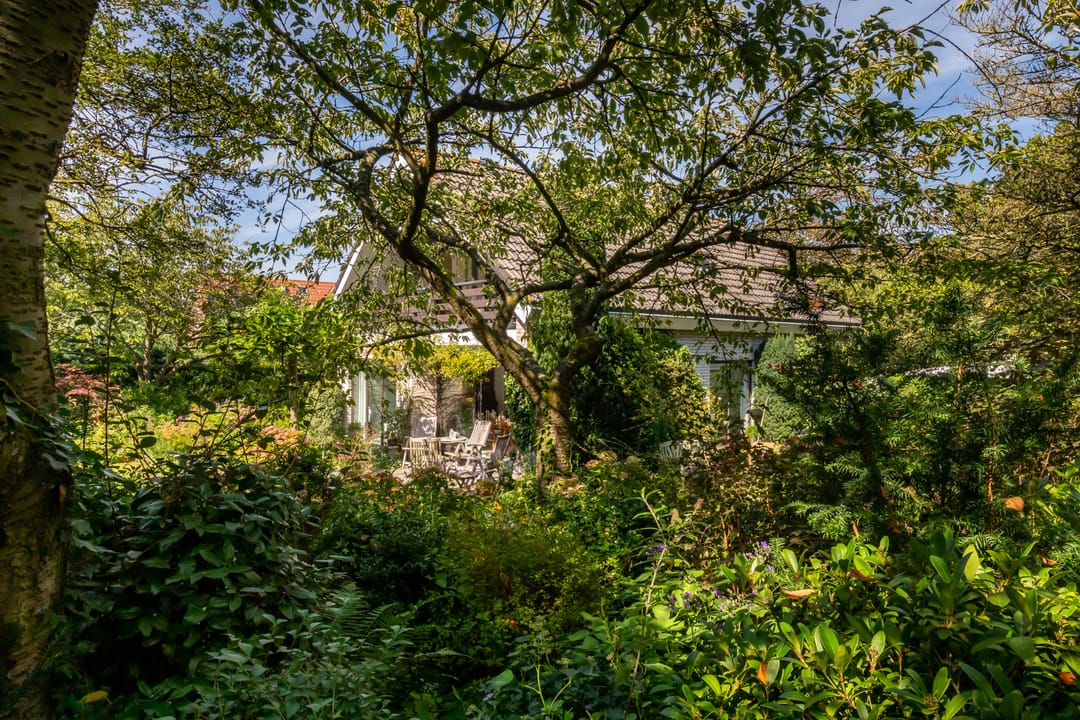 Photo 38 of Duinweg 65