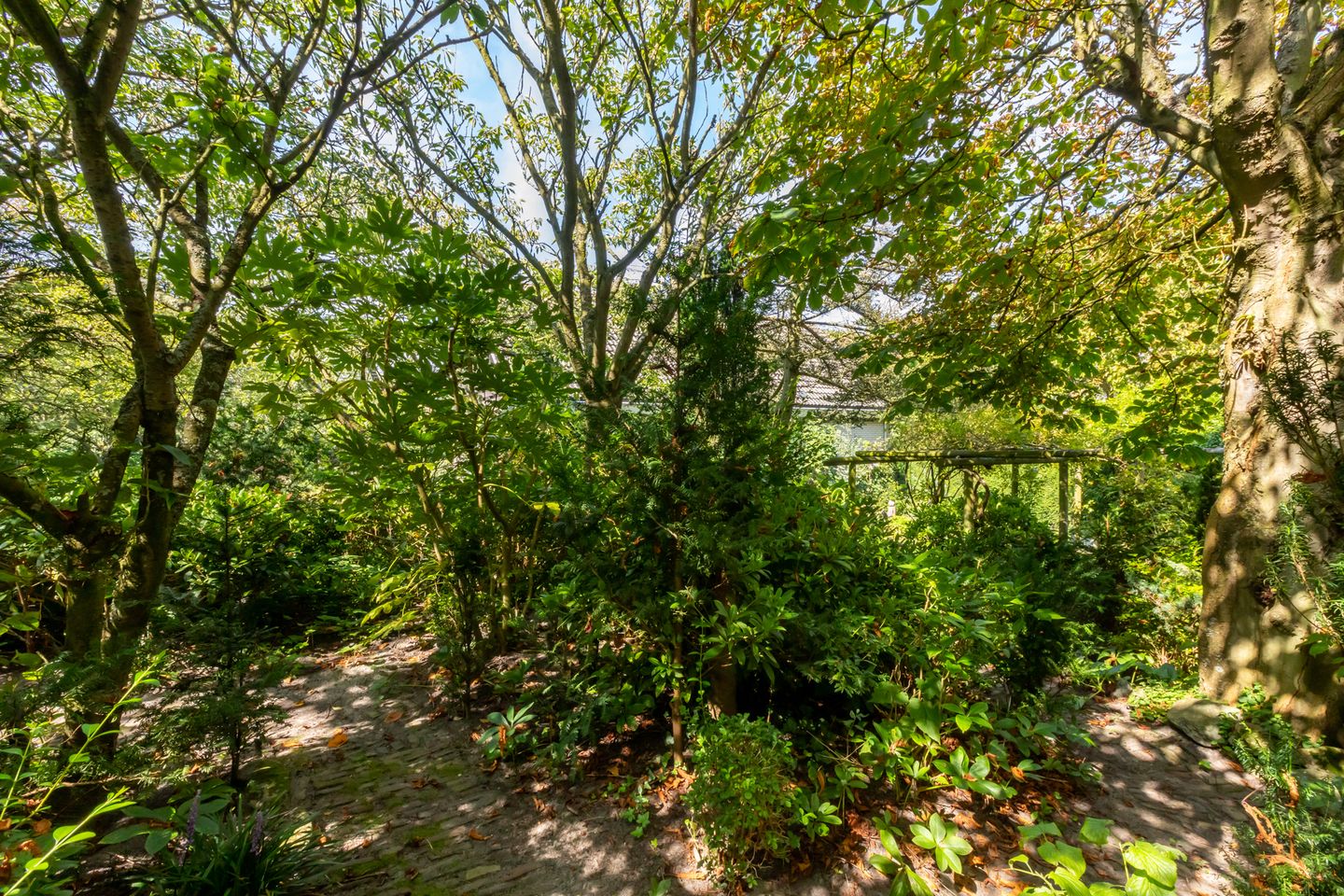 Photo 40 of Duinweg 65