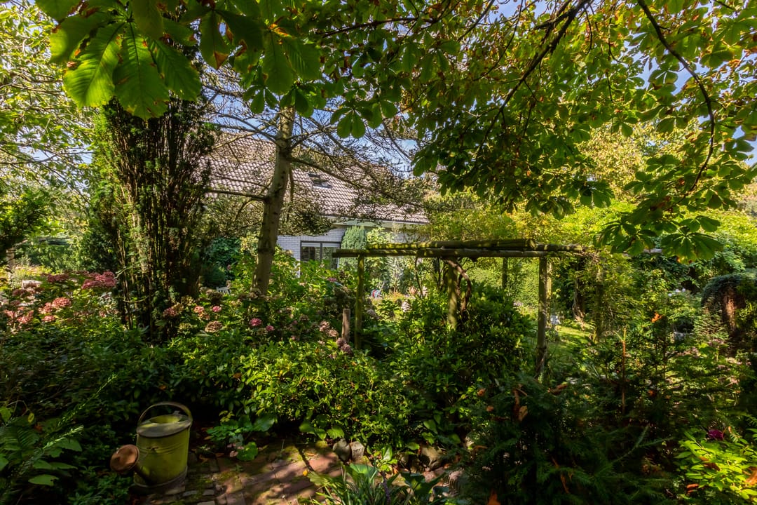 Photo 41 of Duinweg 65