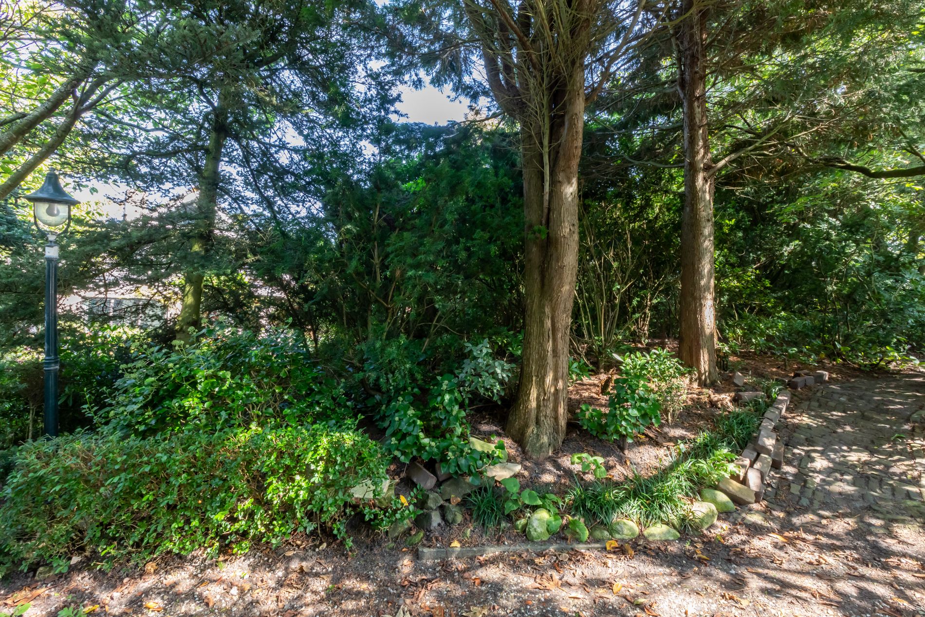 Photo 39 of Duinweg 65