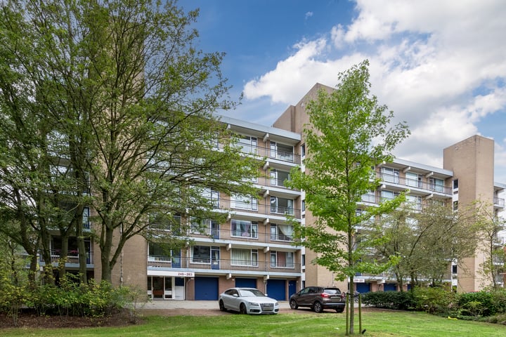 Boerhaavelaan 257