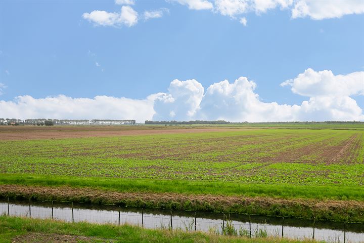 Bekijk foto 42 van De Esdoorn 44