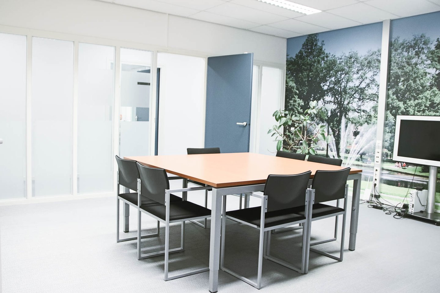 Bekijk foto 5 van Loolaan 37