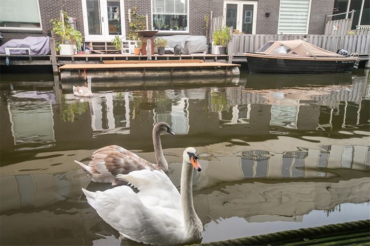 Bekijk foto 43 van Bonairepier 14