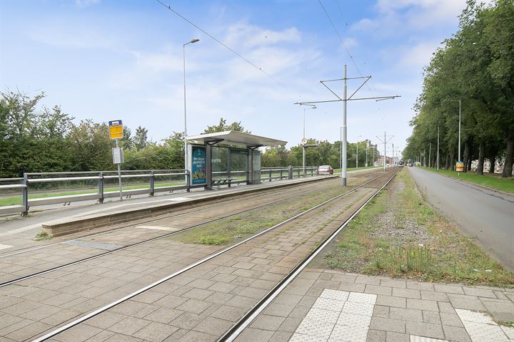 Bekijk foto 30 van Hogenbanweg 405