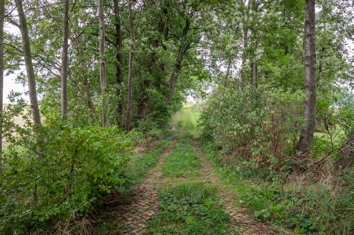 Foto 7 van Brusselseweg 621