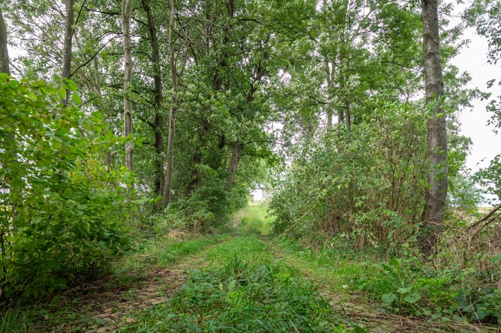 Foto 8 van Brusselseweg 621