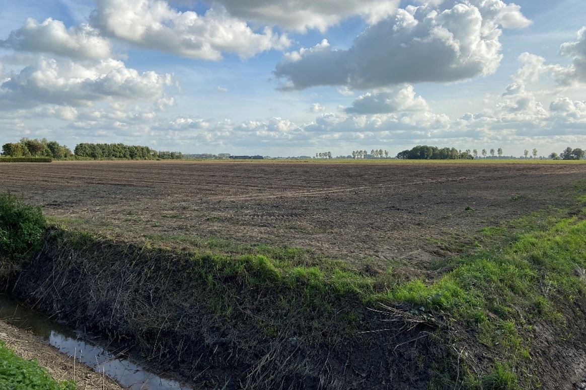 Bekijk foto 4 van Schenkeldijk