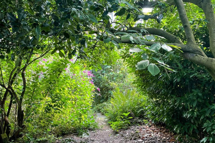 Bekijk foto 25 van Gaspeldoornlaan 28