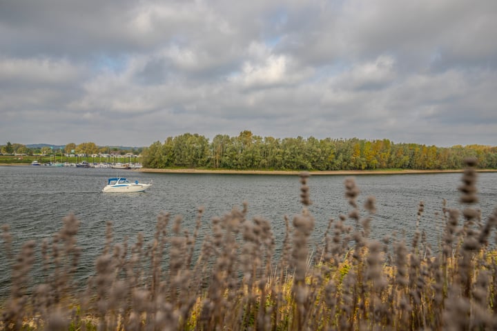 Bekijk foto 26 van IJsvogel 17