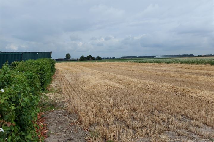 Bekijk foto 29 van Provincialeweg 24