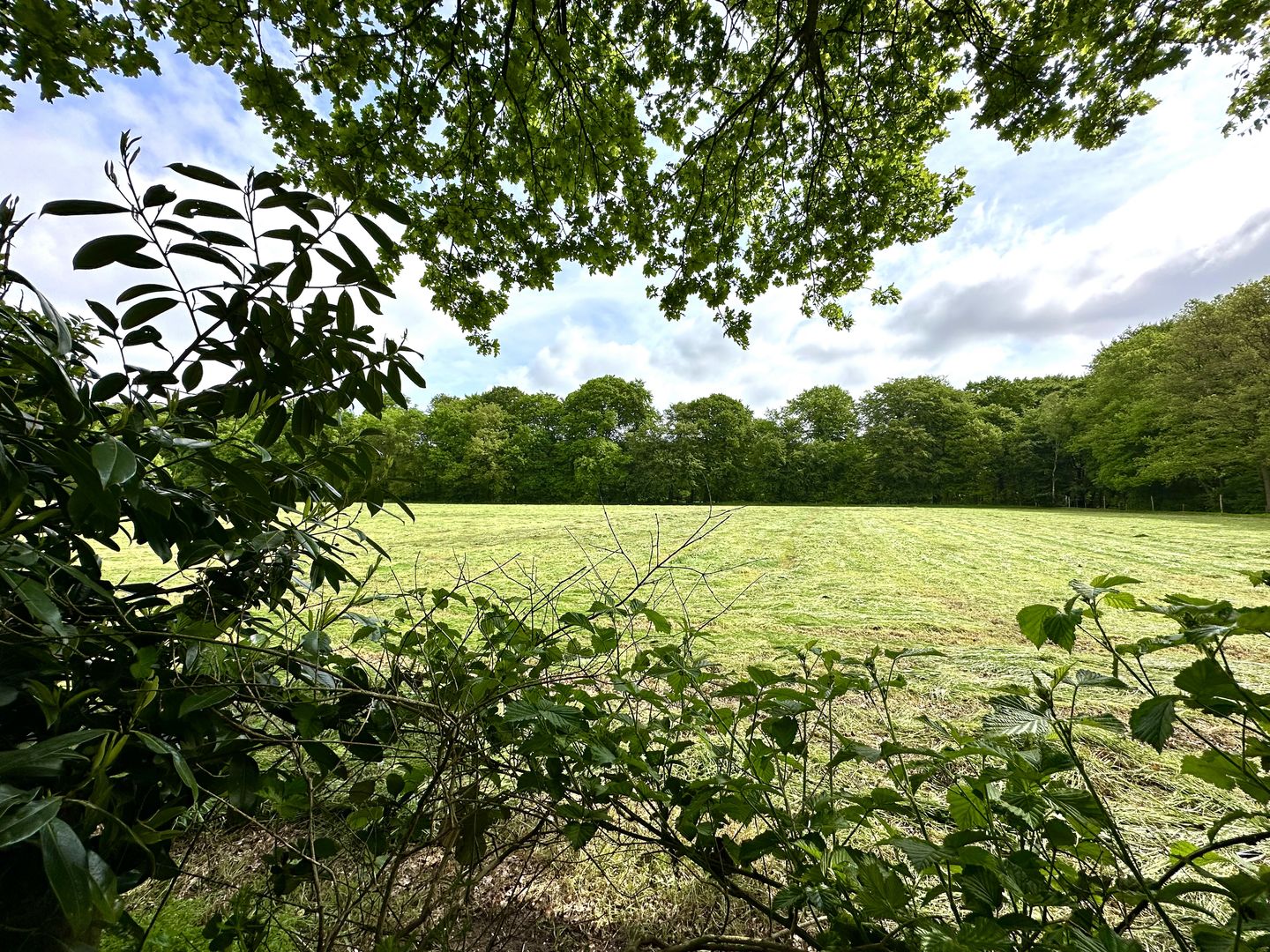 Photo 20 of Vuurkuilweg 15-14