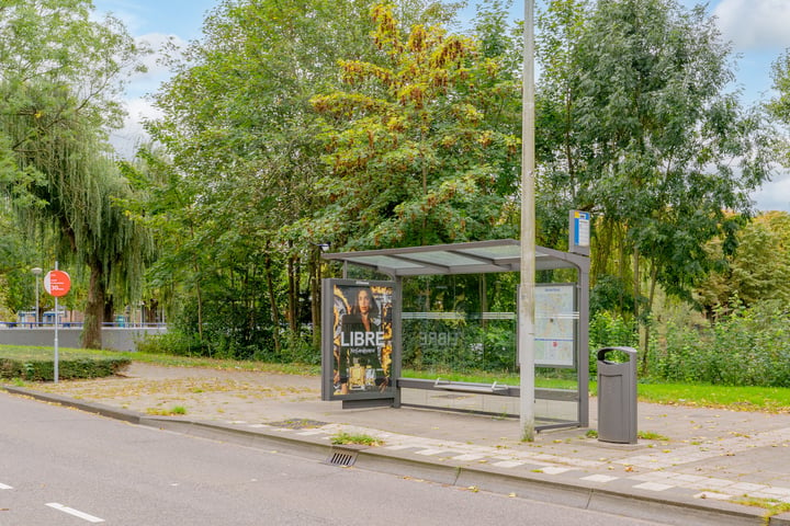 Bekijk foto 38 van Amerbos 355