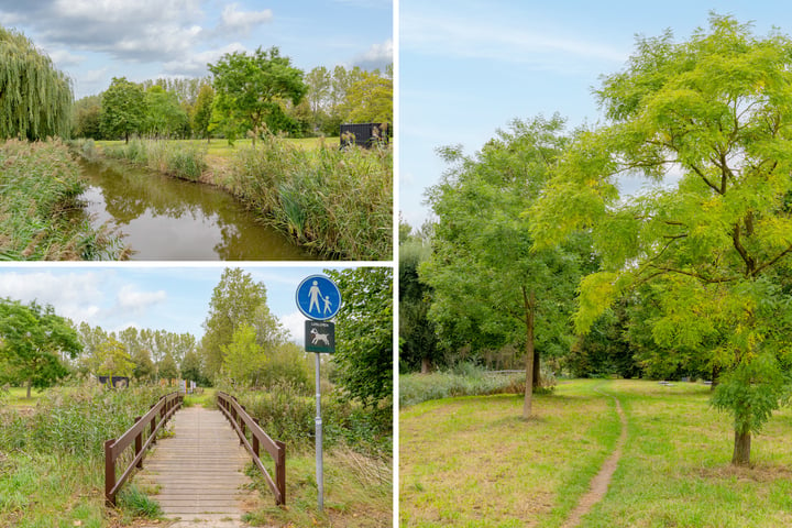 Bekijk foto 41 van Amerbos 355