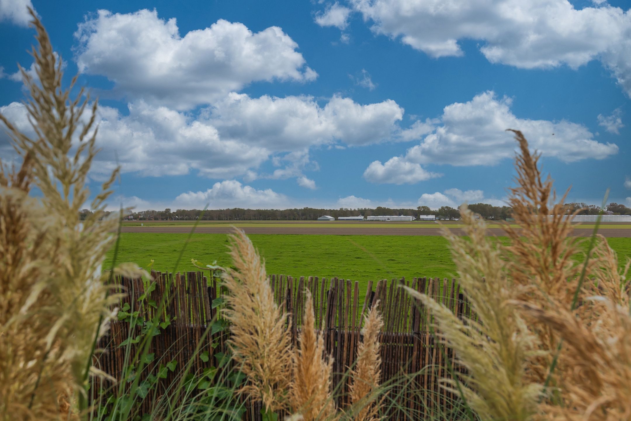 Foto 27 van Kapelleboslaan 10-P