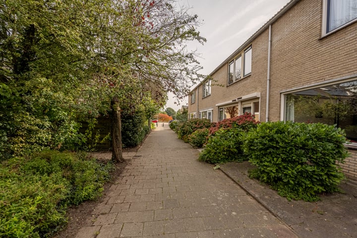 Bekijk foto 29 van Nieuwegeer 21