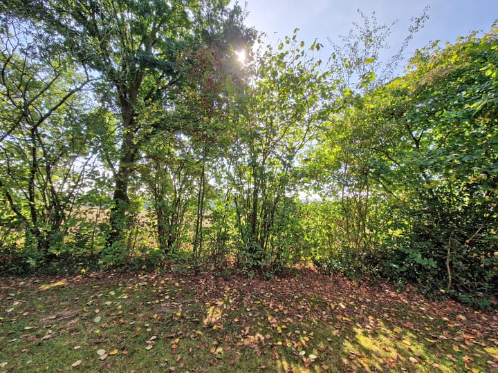 Foto 16 van Landweerswal 2-87