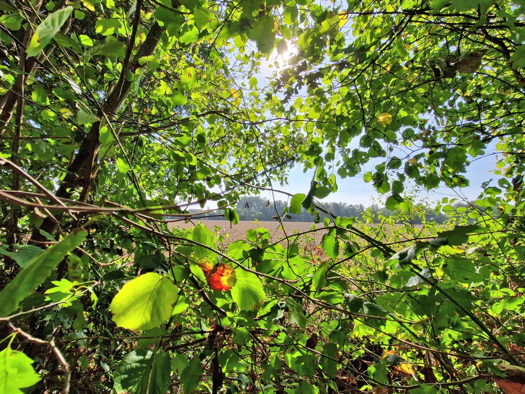 Photo 17 of Landweerswal 2-87