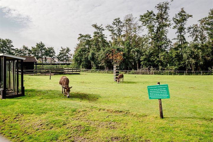 Bekijk foto 37 van Spoorlaan 33