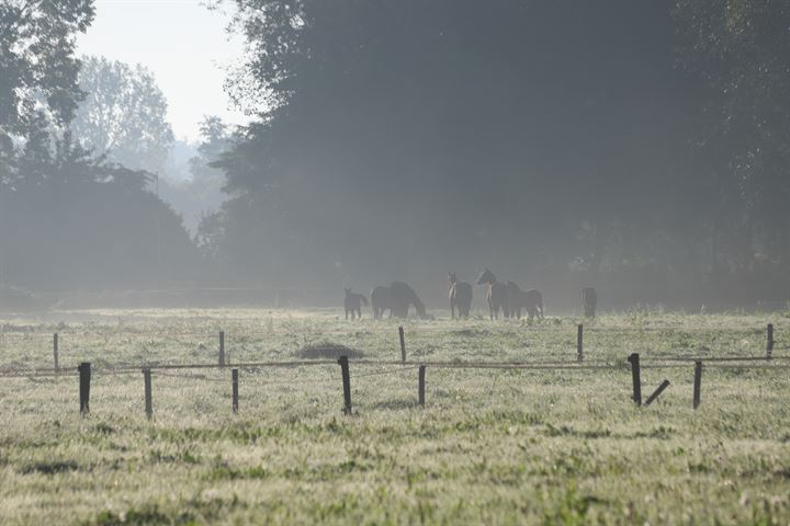 Bekijk foto 34 van Jan Tooroplaan 10