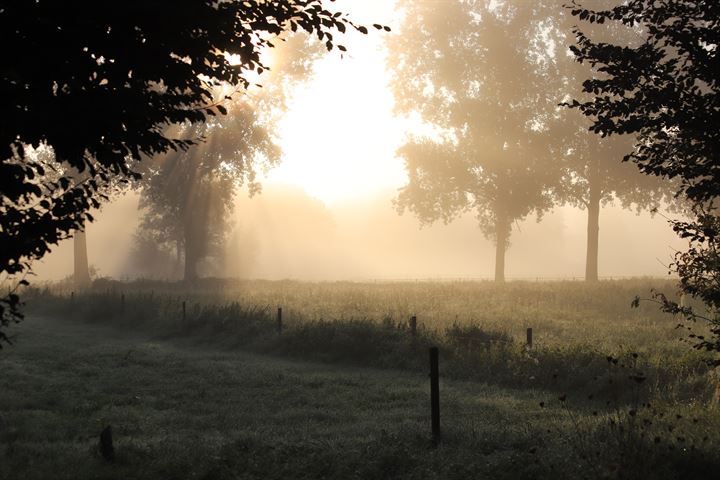 Bekijk foto 32 van Jan Tooroplaan 10