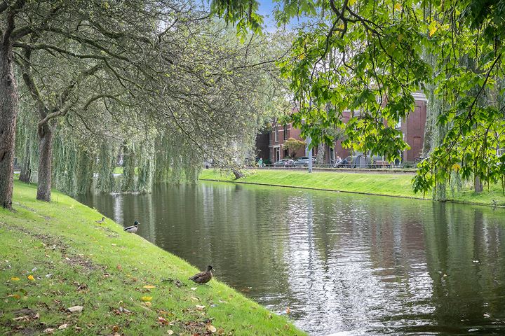 Bekijk foto 30 van Tollensstraat 95