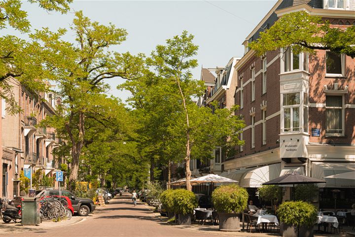 View photo 24 of Van Breestraat 81-II