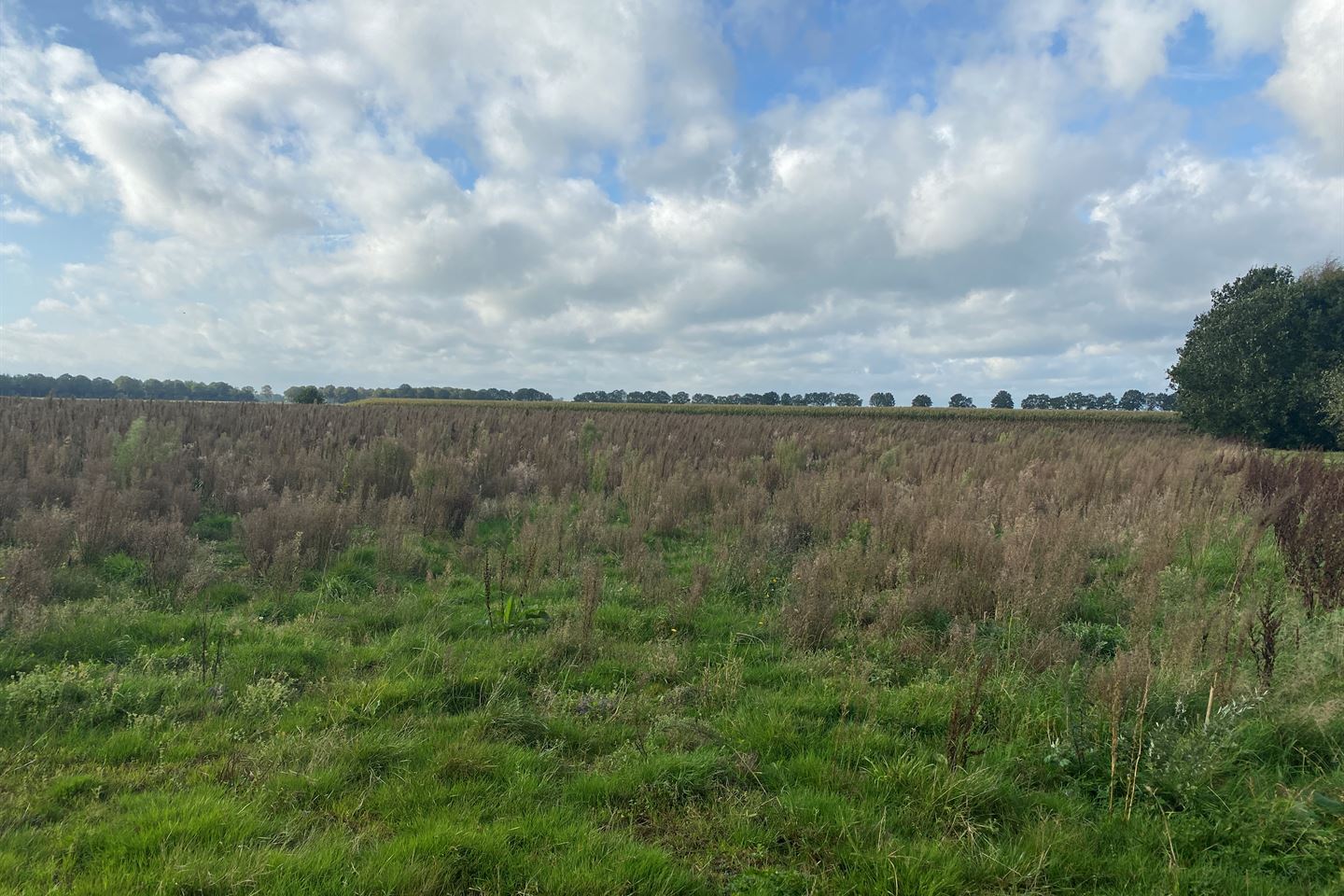 Bekijk foto 4 van Vredenheimseweg