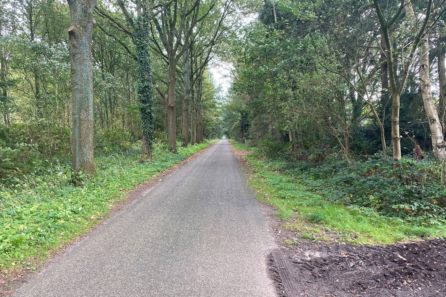 Bekijk foto 2 van Vredenheimseweg