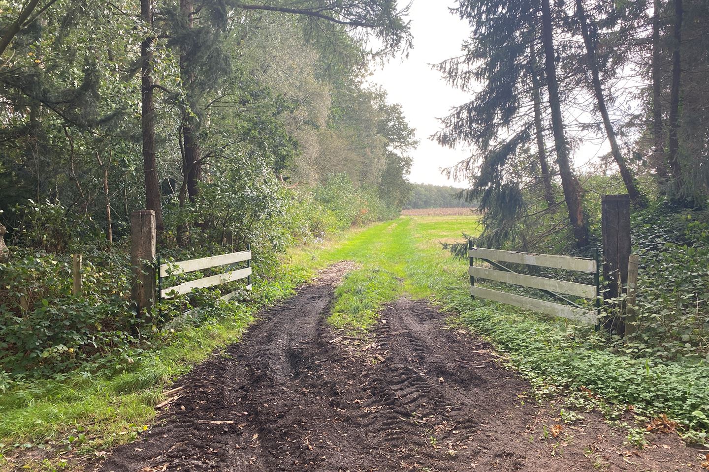 Bekijk foto 3 van Vredenheimseweg