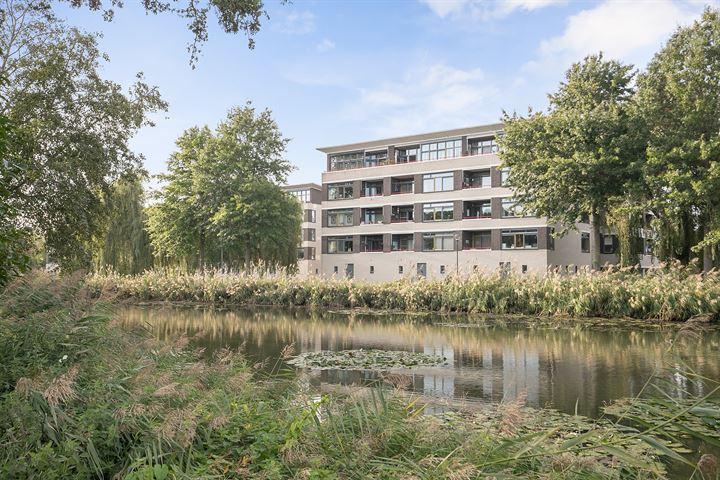 Bekijk foto 31 van Meester Broerensingel 134