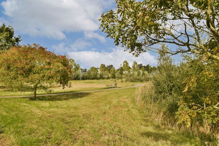 Bekijk foto 41 van Geerdinkhof 317