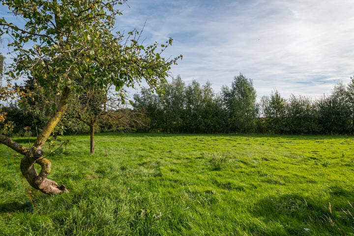 Bekijk foto 8 van Kerkedijk 3