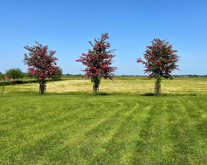 Foto 10 van Zandwerven 33