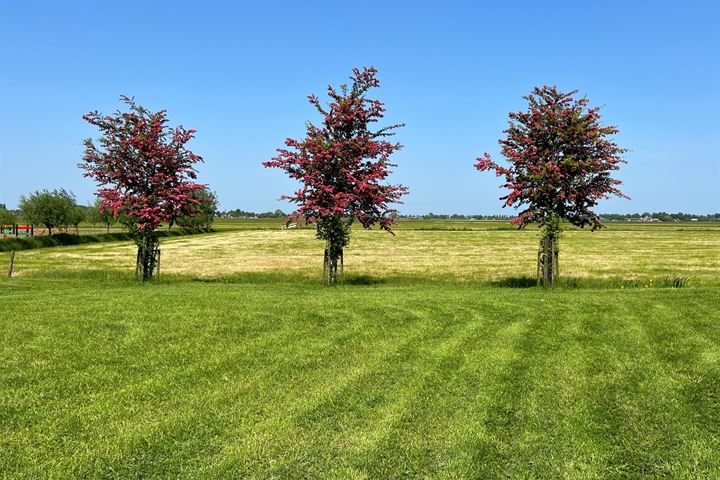 Bekijk foto 10 van Zandwerven 33