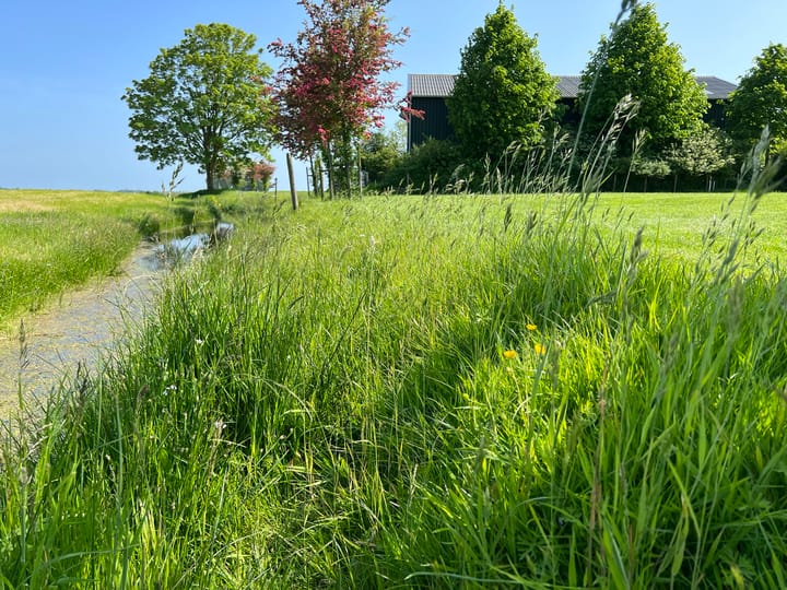 Foto 11 van Zandwerven 33