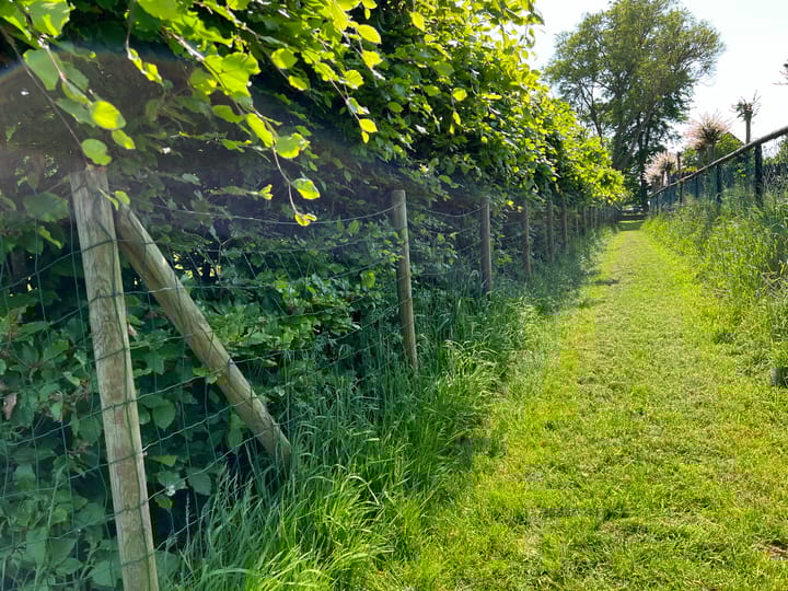 Foto 12 van Zandwerven 33