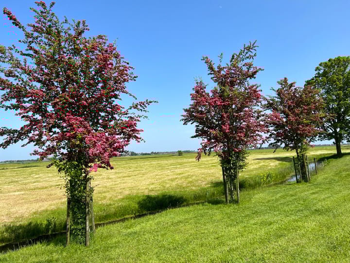 Foto 13 van Zandwerven 33